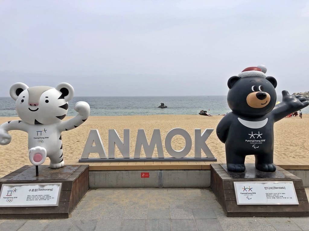 [강릉여행] 한국관광 100선에 선정된《강릉커피거리》
