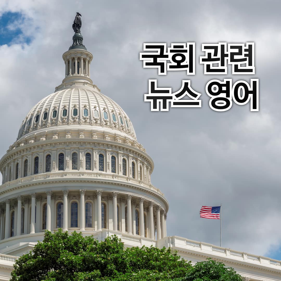 국회와 관련한 유용한 영어 표현