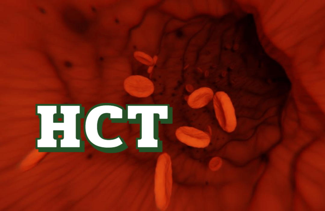 [혈액 검사 결과지 해석]헤마토크릿(Hct) 수치