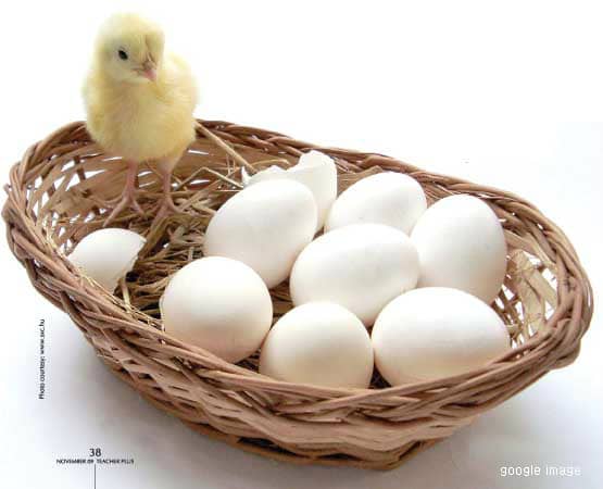 <짧은 영어 한마디> 김칫국부터 마시지 마.