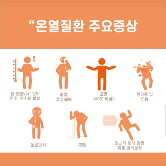 도시열섬현상이란? 여름을 뜨겁게 만드는 도시의 숨겨진 온도