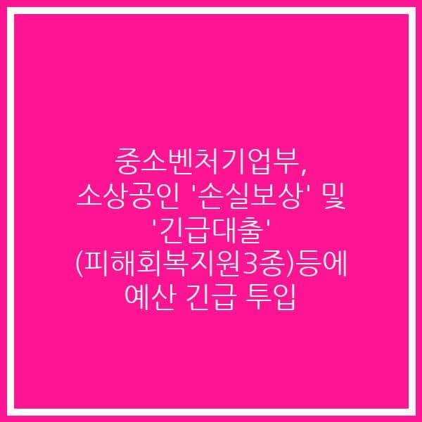 중소벤처기업부,  소상공인 ‘손실보상’  및 ‘긴급대출’ (피해회복지원3종)등에 예산 긴급 투입