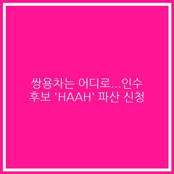 쌍용차는 어디로…인수 후보 ‘HAAH’ 파산 신청