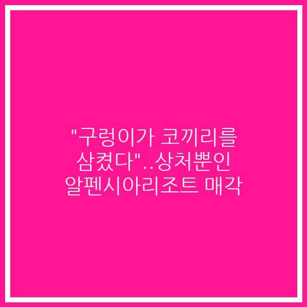 “구렁이가 코끼리를 삼켰다”..상처뿐인 알펜시아리조트 매각