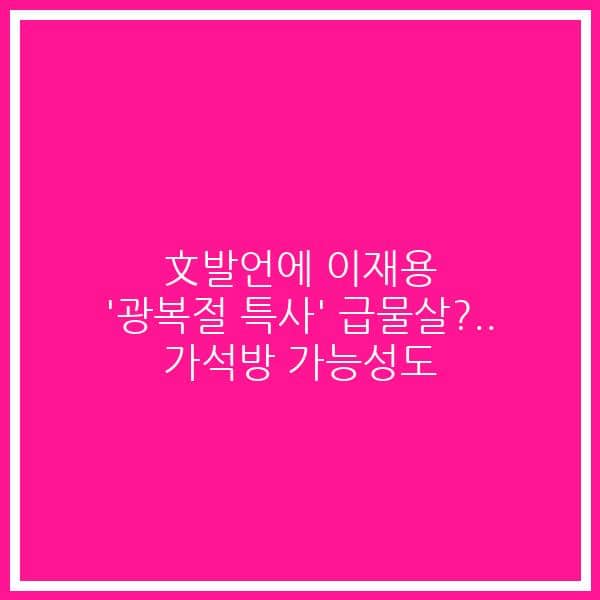 文발언에 이재용 ‘광복절 특사’ 급물살?.. 가석방 가능성도