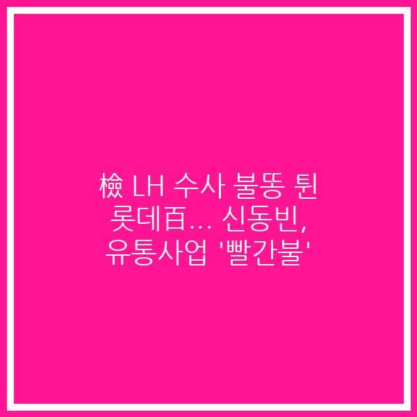 檢 LH 수사 불똥 튄 롯데百… 신동빈, 유통사업 ‘빨간불’