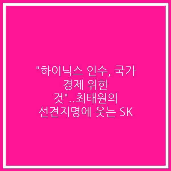 “하이닉스 인수, 국가 경제 위한 것”..최태원의 선견지명에 웃는 SK