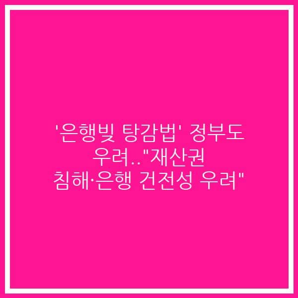 ‘은행빚 탕감법’ 정부도 우려..”재산권 침해·은행 건전성 우려”