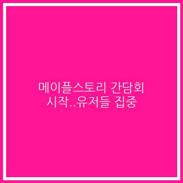 메이플스토리 간담회 시작..유저들 집중