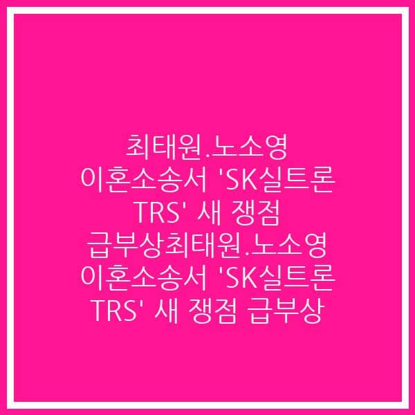 최태원.노소영 이혼소송서 ‘SK실트론 TRS’ 새 쟁점 급부상최태원.노소영 이혼소송서 ‘SK실트론 TRS’ 새 쟁점 급부상