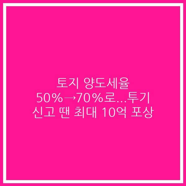 토지 양도세율 50%→70%로…투기 신고 땐 최대 10억 포상