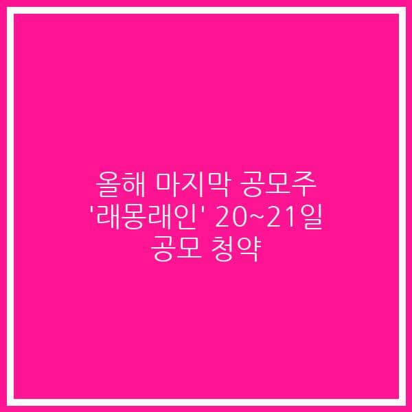 올해 마지막 공모주 ‘래몽래인’ 20~21일 공모 청약