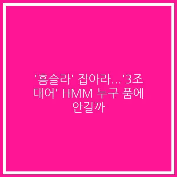 ‘흠슬라’ 잡아라…’3조 대어’ HMM 누구 품에 안길까