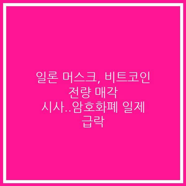 일론 머스크, 비트코인 전량 매각 시사..암호화폐 일제 급락
