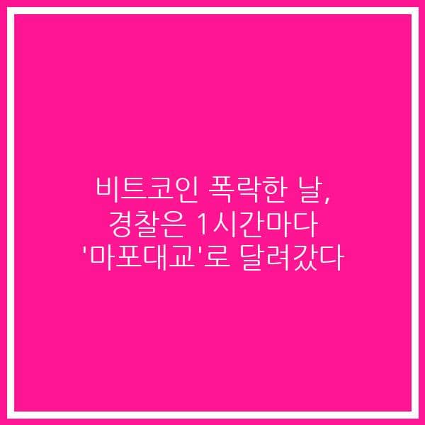 비트코인 폭락한 날, 경찰은 1시간마다 ‘마포대교’로 달려갔다