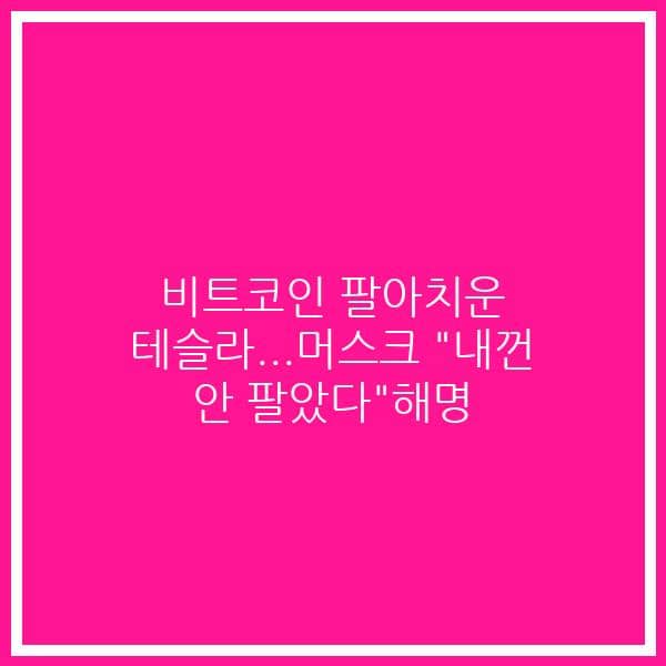 비트코인 팔아치운 테슬라…머스크 “내껀 안 팔았다”해명