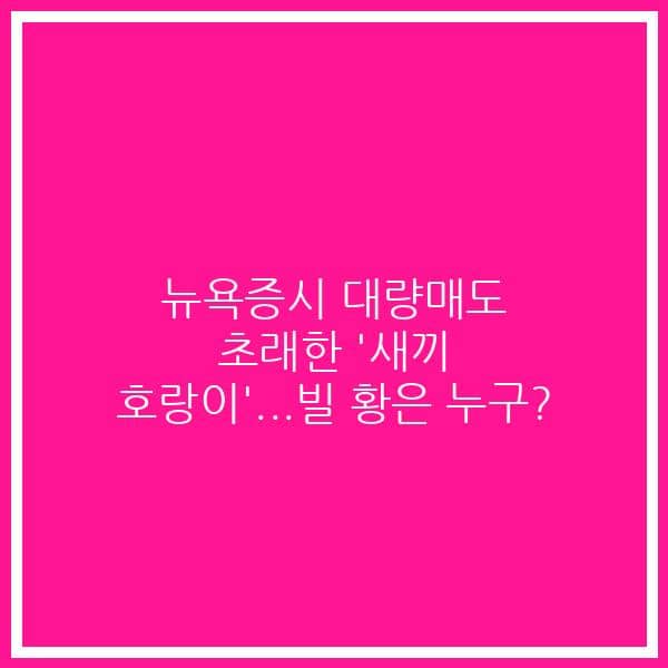 뉴욕증시 대량매도 초래한 ‘새끼 호랑이’…빌 황은 누구?