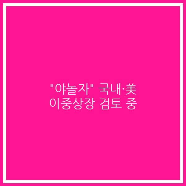 “야놀자”  국내·美 이중상장 검토 중