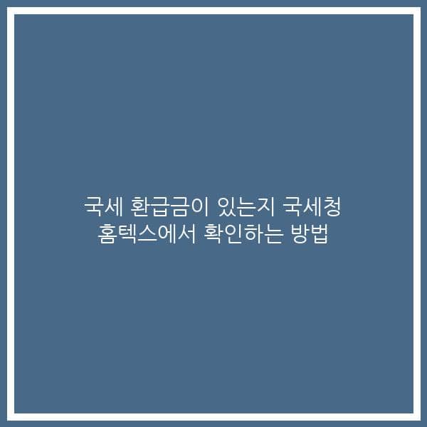 국세 환급금이 있는지 국세청 홈텍스에서 확인하는 방법