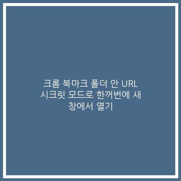 크롬 북마크 폴더 안 URL 시크릿 모드로 한꺼번에 새 창에서 열기