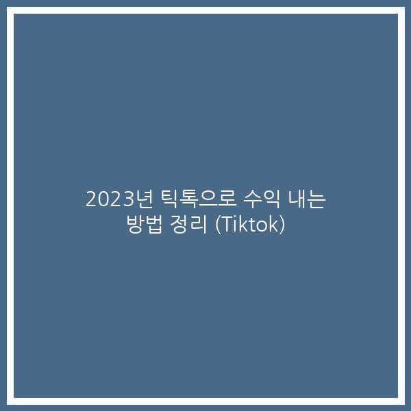2023년 틱톡으로 수익 내는 방법 정리 (Tiktok)