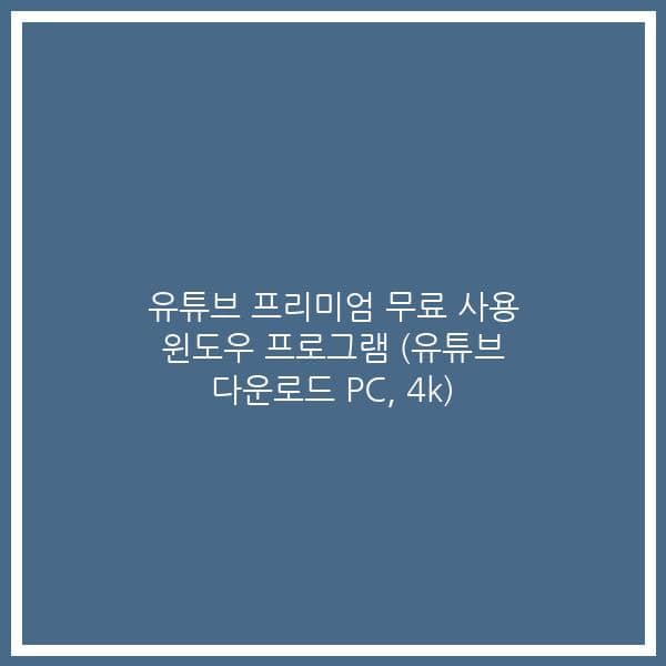 유튜브 프리미엄 무료 사용 윈도우 프로그램 (유튜브 다운로드 PC, 4k)