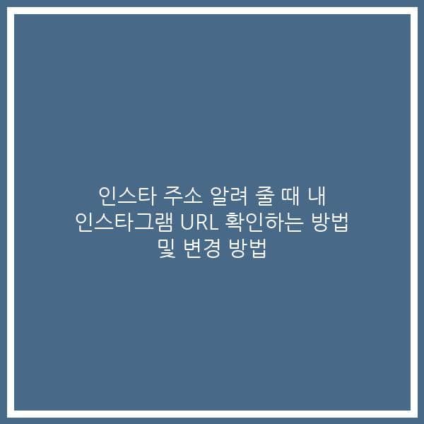 인스타 주소 알려 줄 때 내 인스타그램 URL 확인하는 방법 및 변경 방법