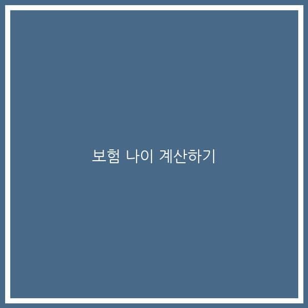 보험 나이 계산하기