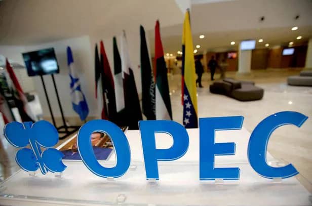 국제 거시경제: OPEC+ 실망에 유가 급락, 미국 경제 둔화 신호, 11월 유로존 인플레이션 2.4%, 내년 4월 금리 인하 확신 및 영국 금리 덜 제약적