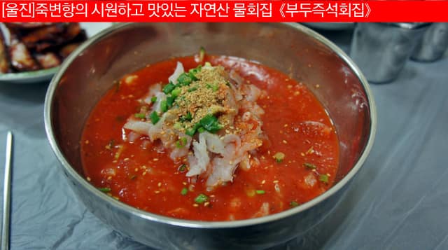 [울진] 죽변항의 시원하고 맛있는 자연산 물회집《즉석부두회집》(추천맛집)