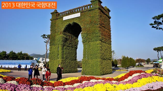 [함평국화축제] 독립문에서 희망나무까지 이모저모 (2편) (추천여행지)