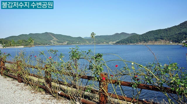 [영광] 수려한 자연경관을 자랑하는《불갑저수지 수변공원》
