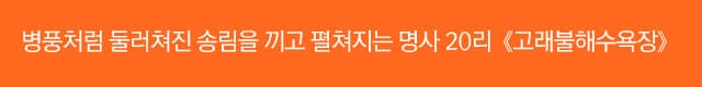 [영덕] 병풍처럼 둘러쳐진 송림을 끼고 펼쳐지는 명사 20리《고래불해수욕장》