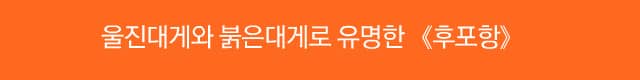 [울진] 울진대게와 붉은대게로 유명한 《후포항》