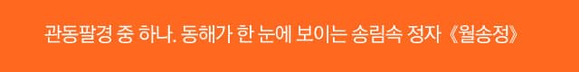 [울진] 관동팔경 중 하나. 동해가 한 눈에 보이는 송림속 정자《월송정》