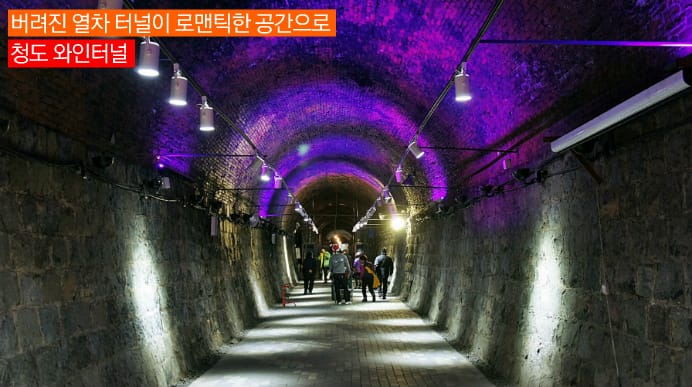 [청도] 버려진 열차 터널이 로맨틱한 공간으로 《와인터널》