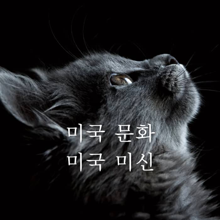 미국 일상 문화에 스며 있는 미신(Superstition) 이야기