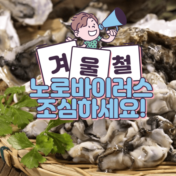 겨울 철 별미 굴 좋아한다면? 노로바이러스 감염 조심하세요!