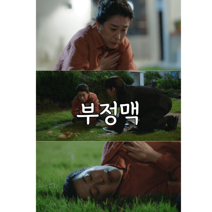 가슴이 뛰는 이야기: 부정맥에 대해 알아야 할 사항들