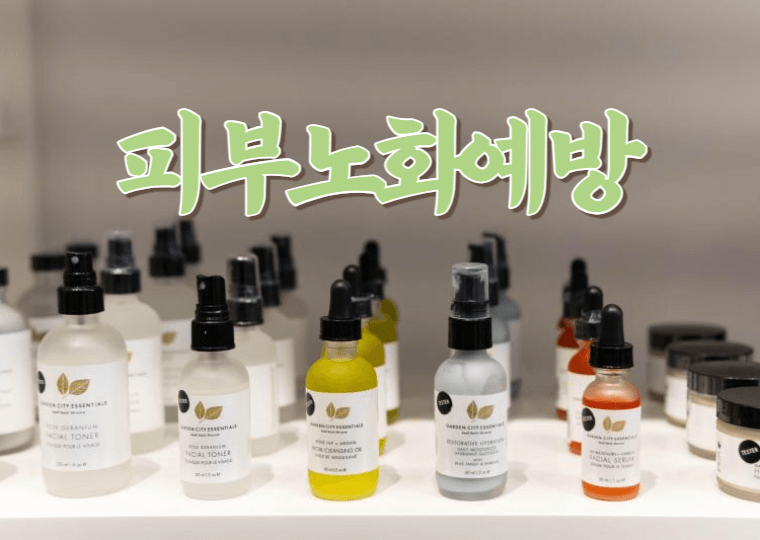 피부 노화를 예방하는 방법