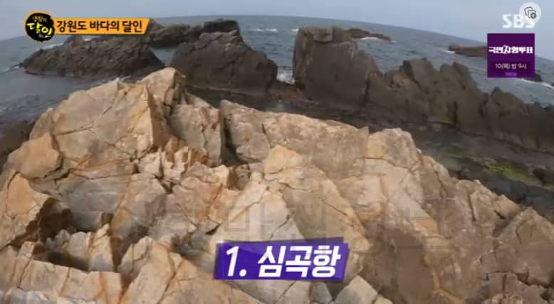 생활의달인 강원도 바다의 달인 스노클링 할 수 있는 곳 추천 – 심곡항 공현진 송지호해수욕장