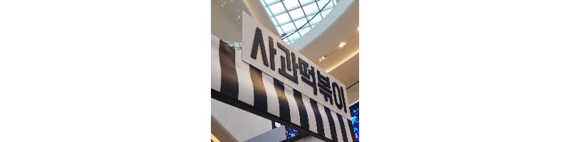 사과떡볶이 스타필드 고양점 팝업스토어에서 사온 수제떡볶이 밀키트