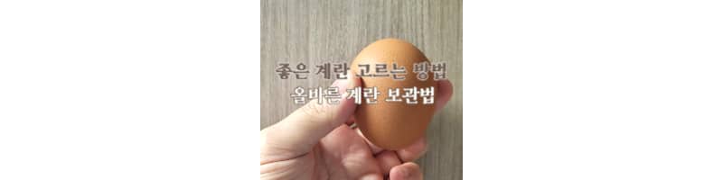 좋은 계란 고르는 방법과 올바른 계란 보관법