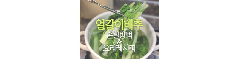 얼갈이배추 손질 방법과 배추된장국, 얼갈이배추무침 레시피