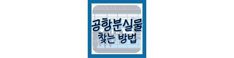 공항에서 물건 잃어버렸을 때 해결 방법 (공항분실물 찾기)