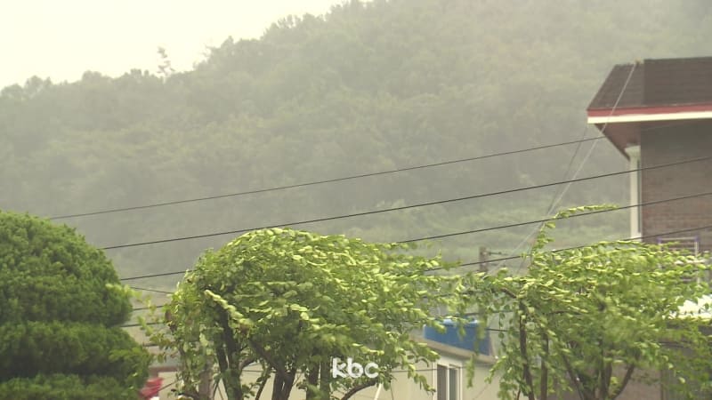 12호 태풍 링링 경로예상 및 현재 위치 총정리