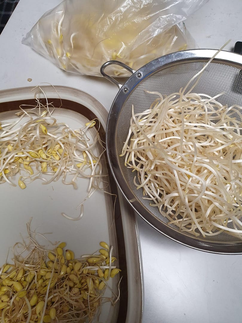 맛있는 경상도식 소고기뭇국 황금레시피