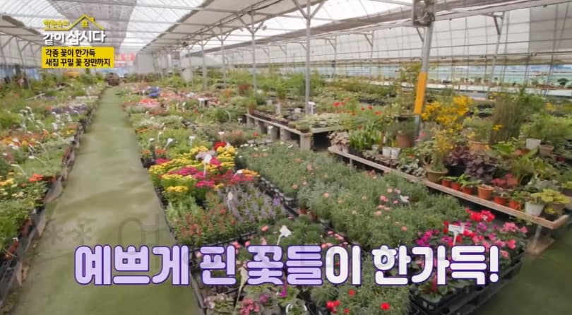 같이삽시다 서천 꽃집, 화훼단지 어디? 각종 꽃이 한가득 새집 꾸밀 꽃 장만까지 박원숙