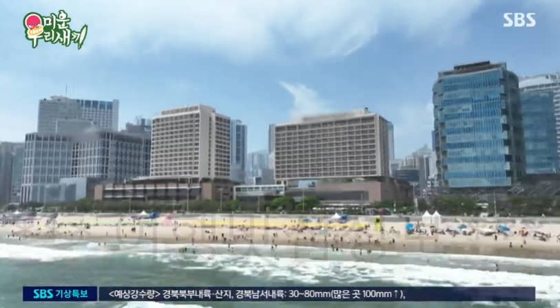 미운우리새끼 임원희 짠카소의 전시회, 부산 전시회 촬영지 호텔 위치 어디? 미우새 임원희 작가 데뷔 아트페어