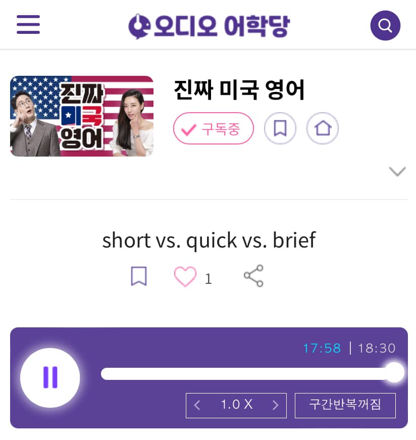 23.05.15.월 short vs. quick vs. brief 진짜 미국 영어 get-rich-quick 일확천금